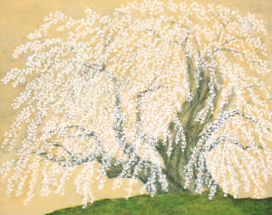 千年の流れ（三春滝桜）