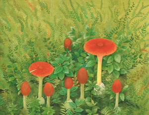 たまごたけの家族