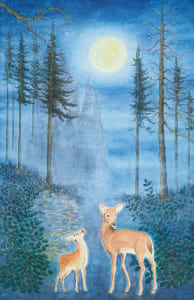 穏やかな日々を仰いで