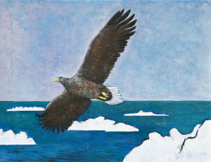 明るい空の彼方へ