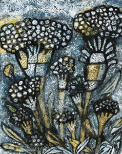 コックスコーム