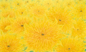 紫峰を望むヒマワリの里