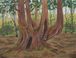 樹魂、ネズコの森にて