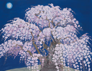 滝桜