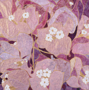 ブーゲンビリア