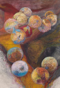 旅する玉葱（Traveling Onion）