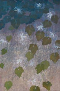 カラスウリ・Ⅰ