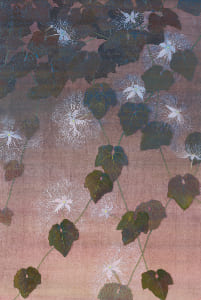 カラスウリ・Ⅱ