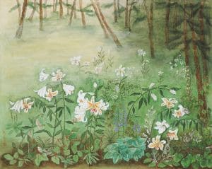 ヤマユリのふるさと