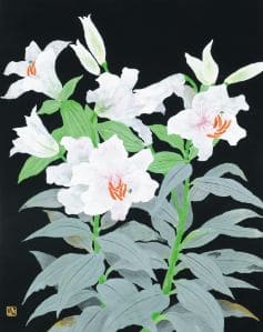 オリエンタルリリー