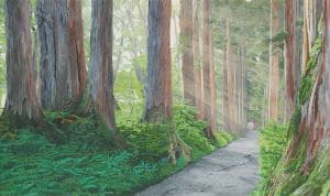 戸隠神社 奥社への参道