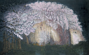 しだれ桜 ライトアップ