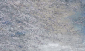 花波