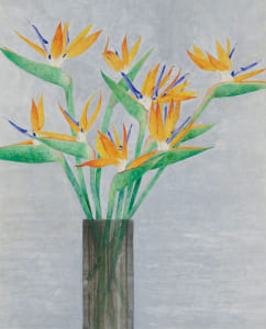 極楽鳥花