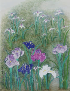 花菖蒲