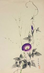 朝顔